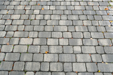 Gray paving stones forming textured outdoor pathway pattern