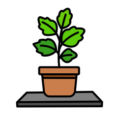 Fiddle Leaf Fig Potted Illustration