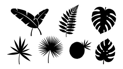 Flat Black Tropical Botanical Leaf Silhouettes Vector Set