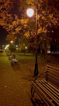 bench in the park