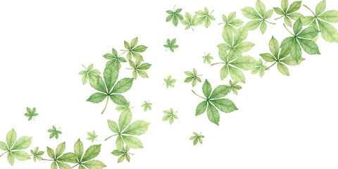 Obraz premium Adobe Illustrator Artwork