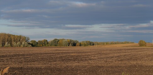 Fototapeta premium Wide rural landscape with a freshly harvested field under dramatic autumn clouds. Soft evening light highlights the earthy tones and distant tree line, evoking the calm atmosphere of the countryside.