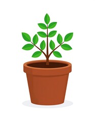 A cartoon illustration shows a young leafy plant in a brown ceramic pot, set against a white background