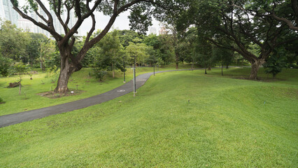 Scenic view of a lush green park with a winding path and large trees