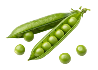 Fresh green peas in opened pod isolated