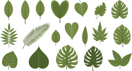 Fototapeta premium Exotic Green Leaves Assortment Featuring Monstera, Palm, and Tropical Elements