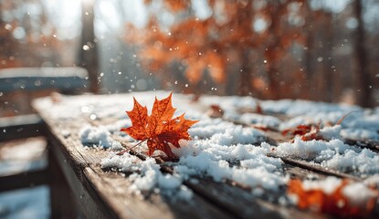 A wooden table covered with snow and maple leaves in the park, sunlight shining on it. the background is blurred autumn trees. It creates a beautiful contrast between the warm colors of reds.