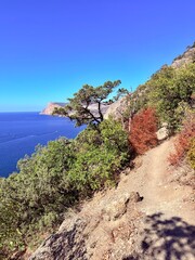 fantastic blue seascape, rocky sea coast, blue sea and blue sky