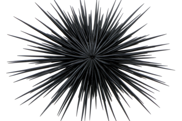 Spiky sphere of radiating dark rods on black