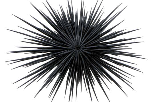 Spiky sphere of radiating dark rods on black