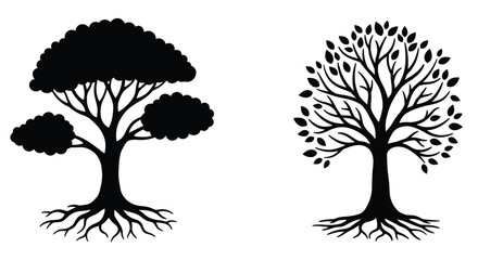 Obraz premium Black and white illustration of two trees with detailed foliage and roots