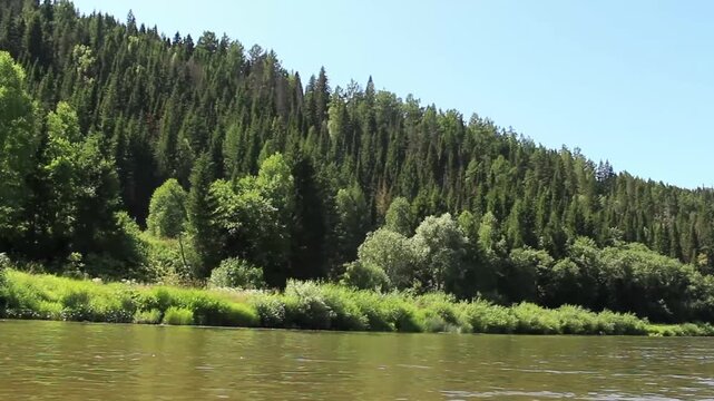 a video showing a river in Bashkiria and the surrounding forest