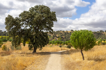 Fuencarral - El Pardo, Madrid