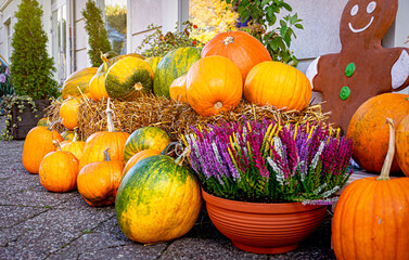 Beautiful sidewalk cafe decorated with autumn pumpkins	