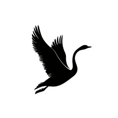 Fototapeta premium Silhouette of a swan in flight against a white background