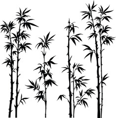 Fototapeta premium Bamboo Plant Silhouette Vector Featuring Segmented Stalks, Clustered Leaves, and Minimalist Botanical Elegance in Line Art