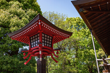 traditional japanese lantern in the park