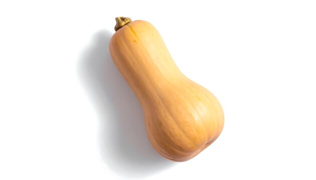 A single, organically shaped winter squash lies on a stark white background, casting a subtle shadow