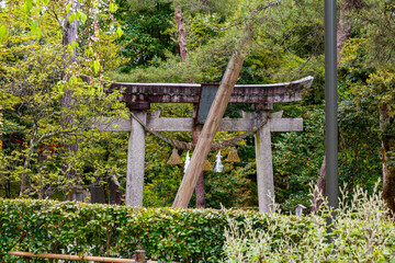 Old entrance of a temple in Japan made in stone with cherry flowers all around	

