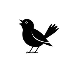 Obraz premium Black bird singing on white background