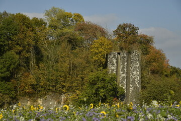 Mur et tour en pierres en ruines en pleine végétation luxuriante en automne à Écaussinnes d'Enghien (Soignies)