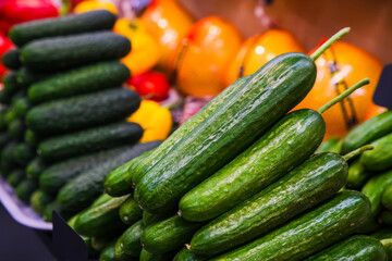 Fresh and ripe green cucumbers, stacked in rows and prepared for sale on the counter in a store or market.