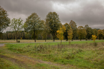 Obraz premium Cloudy Sky Over Rural Field in Autumn.Landscape with dramatic clouds above a wide open field. The subdued natural light brings out earthy tones and emphasizes the transition between seasons.