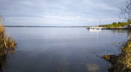 Tranquil view of Senftenberger See lake with sailboats at the pier and calm water in spring, near Senftenberg, Brandenburg, Germany. Peaceful lakeside nature landscape under soft daylight.