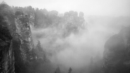 Foggy morning in Saxon Switzerland National Park, Germany. Dramatic sandstone cliffs and forest covered in dense mist, black and white landscape with mysterious atmosphere and natural textures.