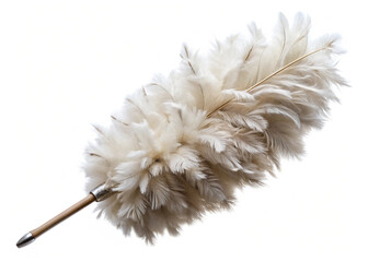 A feathered white duster  isolated on white background