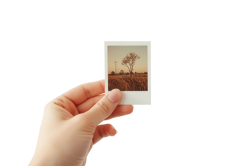 Hand holds photo of a tree in a field on a sunny day, isolated on a transparent background