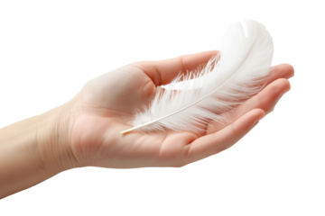 Delicate white feather resting gently in a person's palm, symbolizing lightness and gentleness.