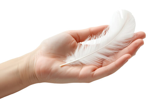 Delicate white feather resting gently in a person's palm, symbolizing lightness and gentleness.