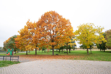 Naklejka premium autumn in gernany