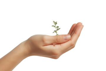 A nurturing hand holds a delicate green plant, symbolizing growth, renewal, and the promise of life.