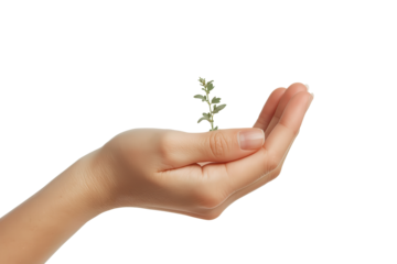 A nurturing hand holds a delicate green plant, symbolizing growth, renewal, and the promise of life.