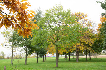 Automn Fall in germany