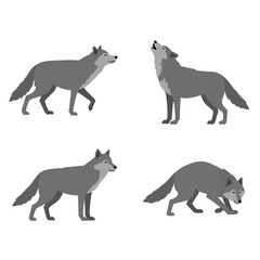 Four gray wolves depicted in dynamic poses showcasing natural wild animal behavior and movement isolated on white background