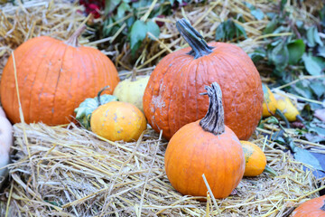 Pumpkins prepared for Halloween at the entrance to a children's playground