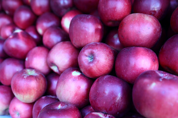 Fresh and appetizing red apple presented at a an agricultural products fair.
