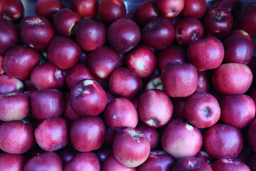 Fresh and appetizing red apple presented at a an agricultural products fair.