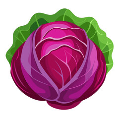 Obraz premium Vibrant red cabbage with fresh green leaves, a culinary delight perfect for healthy recipes and food illustrations, showcasing organic produce with a modern, artistic style
