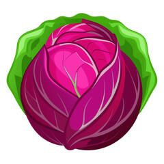 Fototapeta premium Vibrant red cabbage with fresh green outer leaves, a healthy and delicious addition to salads, slaws, and culinary creations, perfect for vibrant and flavorful meals
