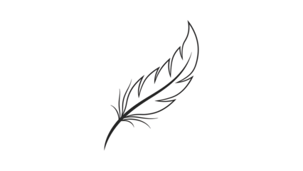 Delicate Feather Outline on Black, Simple Monochrome Artistic Element