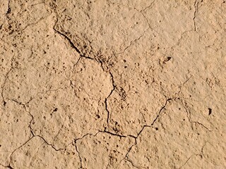 cracked soil texture