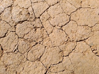 Fototapeta premium dry cracked earth