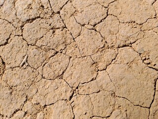 Fototapeta premium dry cracked earth