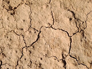 dry cracked earth