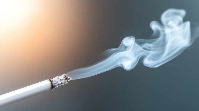 A close-up of a cigarette with smoke curling against a soft background, highlighting the impact of smoking on health and society.