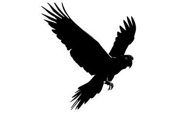 a black silhouette of an eagle in flightbird, black, crow, eagle, flight, fly, parrot, profile, sky, spread, wing 